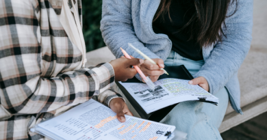 projetos pedagógicos ensino médio