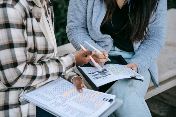 projetos pedagógicos ensino médio